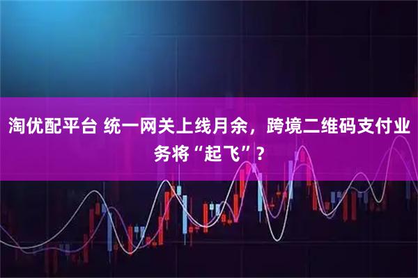 淘优配平台 统一网关上线月余，跨境二维码支付业务将“起飞”？