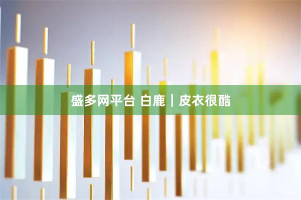 盛多网平台 白鹿｜皮衣很酷