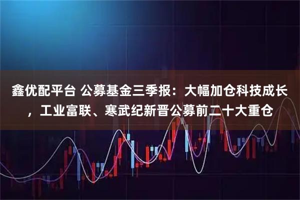 鑫优配平台 公募基金三季报：大幅加仓科技成长，工业富联、寒武纪新晋公募前二十大重仓
