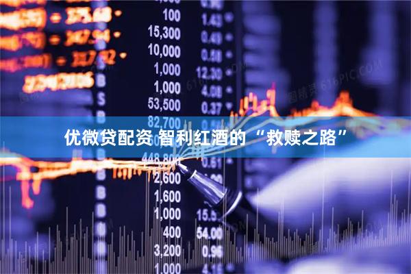 优微贷配资 智利红酒的 “救赎之路”