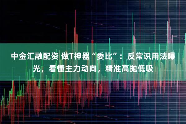中金汇融配资 做T神器“委比”：反常识用法曝光，看懂主力动向，精准高抛低吸