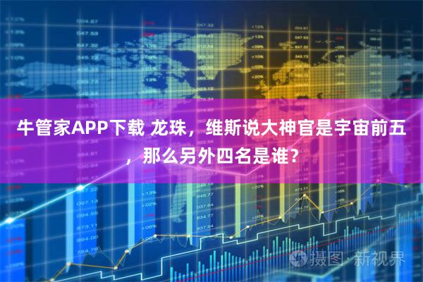 牛管家APP下载 龙珠，维斯说大神官是宇宙前五，那么另外四名是谁？