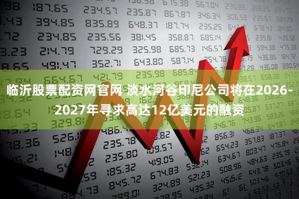 临沂股票配资网官网 淡水河谷印尼公司将在2026-2027年寻求高达12亿美元的融资