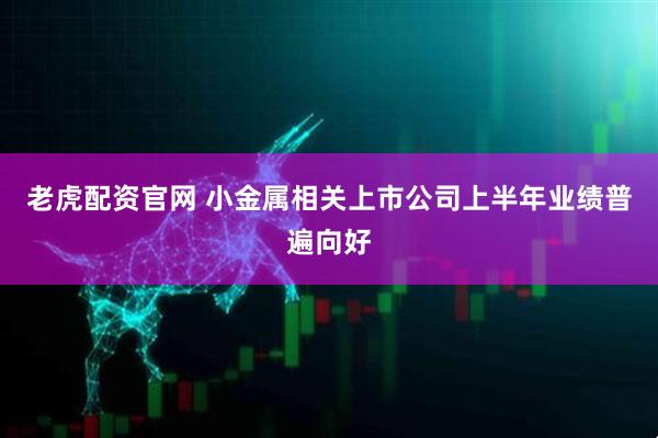 老虎配资官网 小金属相关上市公司上半年业绩普遍向好